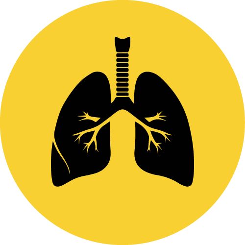 Breath Work Icon - Bee Vibrations Breathwork
